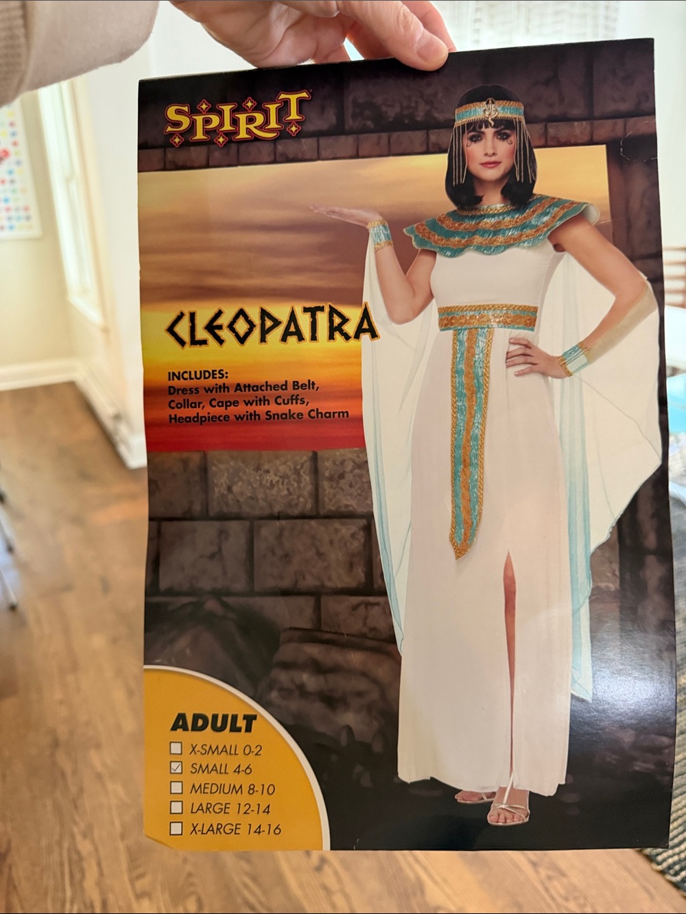 Cleopatra Costume for Women Small